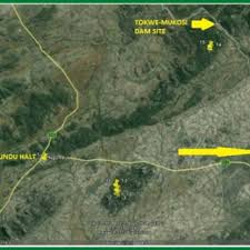 Image result for Bivinia jalbertii