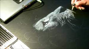 Speed drawing, dessin "Lion" Crayon blanc sur fond noir - YouTube