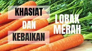 Manfaat buah lobak sebagai sumber makanan bergizi tampaknya tidak terlalu populer dibandingkan dengan kubis. Khasiat Dan Kebaikan Lobak Merah Coastal Dim Sum