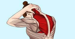 Pin On Etirements Souplesse