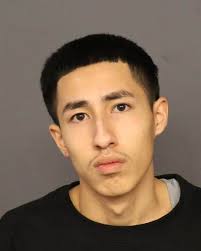 Denver Grand Jury Indicts 13 Members of the Too Damn Smooth Gang