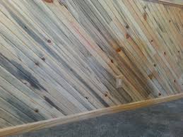17:59 colorado mountain living 74 157 просмотров. File Beetle Killed Bluestain Pine Jpg Wikipedia