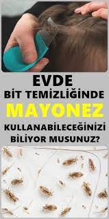 sactaki bit nasil temizlenir herbalism eye care health