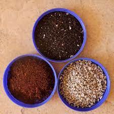 Succulent & cactus soil mix: Cactus And Succulents Forum Soil For Cacti And Other Succulents Garden Org
