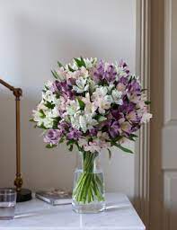 Tue, sep 7, 2021, 6:24am edt Flowers Plants M S