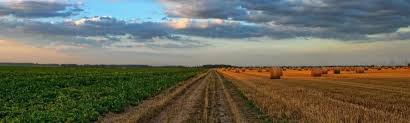 133,940 likes · 32,138 talking about this. La Agricultura Circular El Futuro De La Agricultura Probelte
