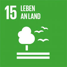 For the latest united nations information on the coronavirus, please visit. Start Ziele Fur Nachhaltige Entwicklung Agenda 2030 Der Un