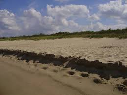 The district is the central part of the port island (wyspa portowa). Sandy Dunes Gdansk Stogi Beach Poland Inlovewithpoland Com Poland Travel Blog
