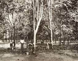 (سمننجوڠ تانه ملايو) (bahasa thai: Sejarah Perlombongan Bijih Timah Di Tanah Melayu