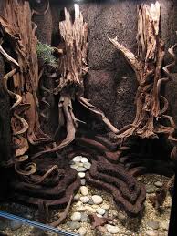 Photo By Martin Malm Snake Terrarium Gecko Terrarium Reptile Terrarium