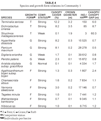Image result for Indigofera inhambanensis