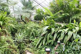 In fact as a general rule butterflies prefer flowers that are white, pink, purple, red, yellow and orange. How To Attract Butterflies To Your Garden Australian Butterfly Sanctuary