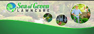 Maybe you would like to learn more about one of these? Sea Of Green Lawn Care é¦–é¡µ Facebook