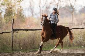 Horse riding has been an olympic sport since 1912, consisting of the art of maintaining control over a horse. What Skills Do You Need For Horse Riding Equestrian Space