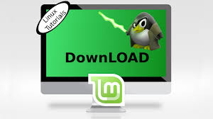 Linux Mint 19 How To Download Youtube