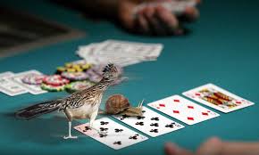 You Flop A Set Your Opponent Bets Into You And You Have A Decision To Make Will You Fast Play With A Raise Hoping To Get All I In 2020 Poker Texas Holdem