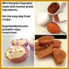 Pin By Angela Nealey On Love Love My Dogs Easy Dog Treat Recipes Easy Dog Cake Recipe Dog Cake Recipes