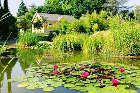 Ein rundgang durch den botanischen garten in freiburg. Warum Freiburgs Botanischer Garten Noch Geschlossen Bleiben Muss Freiburg Badische Zeitung