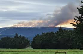 Recipient of the ravindra kinra and kavita kinra fellowship for the. Fire Crews Stood Down Battle To Resume Tomorrow Otago Daily Times Online News
