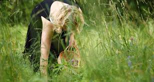 Yes i know it's still february, but after a couple of warm days last week, i'm getting cabin fever. 20 Wild Edible Plants Farmers Almanac