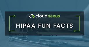 Here's a look at some of the common life insurance questions and answers that will come up when it comes to purchasing term life insurance. Hipaa Fun Facts You Need To Know Cloudnexus Technologies
