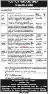 In this sample job description, the nonprofit chief financial officer wears several hats. Kpk Fund Management Chief Financial Officer Cfo Jobs 2021 Job Advertisement Pakistan