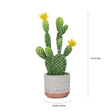 Cactus gum used to purify water. Mainstays 15 4 Inch Artificial Potted Flowering Cactus Succulent Green Yellow Color 1 Piece Walmart Com Walmart Com