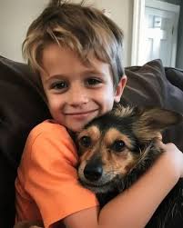 Down in Kissimmee, Florida, a dog was spotted lying