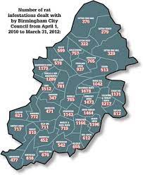 Due to the ongoing coronavirus outbreak the pest control service is only offering a rat service. Birmingham City Council S 30 000 Callouts To Tackle Rat Infestations Birmingham Live