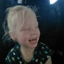 Lexie's Homeschooling Adventures