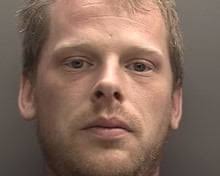 Man jailed for sexually assaulting horse