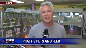 Surprise animal hospital & grooming. Dog Cat Reptile Small Animal Poultry Arizona Pratt S Pets