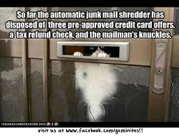 What Are Pre Approved Credit Cards Credit Card Solution Tips And Advice Funny Cat Pictures Cat Pics Funny Cat Photos