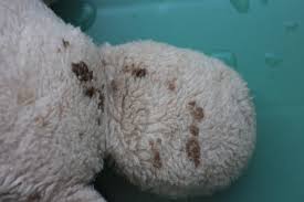 ぬいぐるみ 茶色 シミ 取り 方