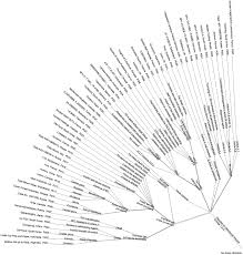 A person cannot transfer his. Patterns Of Tax Treaty Disputes A Global Taxonomy Chapter 14 A Global Analysis Of Tax Treaty Disputes