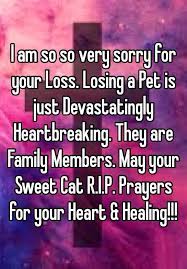 Remember that i'm just a phone call away if you need. 185 Sorry For Your Loss Quotes To Express Your Love Immediate Personal Condolences Messages Funzumo