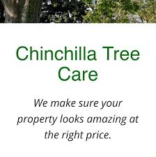 Maybe you would like to learn more about one of these? Chinchilla Tree Service 2 Recommendations Santa Clarita Ca