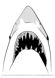 Learn How To Draw Jaws Shark Other Animals Step By Step Drawing Tutorials Shark Drawing Shark Drawing Easy Shark Painting This tutorial shows the sketching and drawing steps from start to finish. learn how to draw jaws shark other