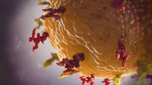 There's now a double mutant variant of the novel coronavirus spreading in india. H5 035hykkz4xm