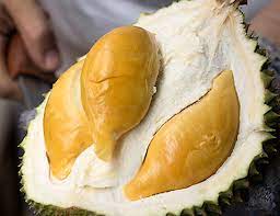 Peniaga tersebut, yeow thing thong, 57, berkata, kebanyakan pokok durian di dusun milik bapa saudaranya itu adalah dari jenis durian kampung yang sudah tua dan ditanam oleh datuknya yang sudah meninggal dunia sebelum dia dilahirkan. Top 10 Best Durians Ever Packist Com