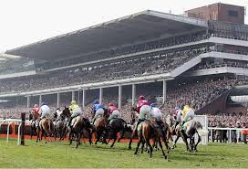 Cheltenham races 2021 guide, including festival tips, free bet deals and the latest news on the big cheltenham races 2021. Cheltenham Festival 2021 Our Must See 263 1 Accumulator Oddschecker