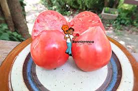 When small town drifter sammy barlach drives into town on the search for his next cold beer and the bunch that'll have him, he gets a lot more than he bargained for. Girthmire S Pride Tomato Seeds For Sale At Renaissance Farms