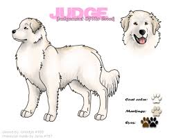 Great Pyrenees Ref Sheet By Never Endingdreams On Deviantart