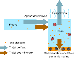 Moi, je (voir) des jeunes qui (rentrer) et qui (faire) du bruit. Pourquoi La Mer Est Elle Salee Question De Science