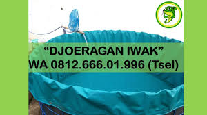 Low Price Pusat Kolam Terpal Bulat Di Yogyakarta Jetis Pusat Kolam Terpal Bulat Di Yogyakarta Kotagede Pusat Kolam Terpal Bulat Di Yogyaka Kolam Yogyakarta