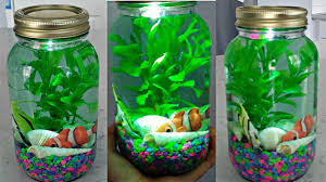 Cara membuat aquarium dari botol bekas. 6 Cara Membuat Aquarium Mini Siapapun Bisa