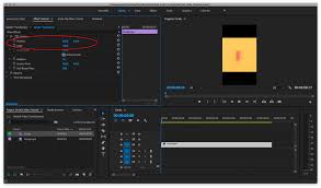 Well, both boomerang and looping videos are quite similar in nature. Crop A Horizontal Video For Vertical Viewing In Premiere Storyblocks Blog
