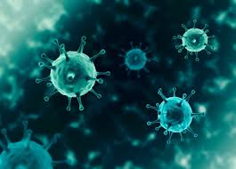 Canada S Response To Coronavirus Wilson Center