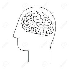 Gehirn Und Kopf Zeichnen Symbol Grosse Idee Kreativitat Phantasie Und Inspiration Thema Isolierter Entwurf Vektor Illustration Lizenzfrei Nutzbare Vektorgrafiken Clip Arts Illustrationen Image 65622190