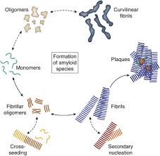 Blue falcon award template / world s best father certificate award. Challenges In Sample Preparation And Structure Determination Of Amyloids By Cryo Em Journal Of Biological Chemistry
